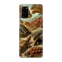 Haeckel Chelonia: Volledig geprint Samsung Galaxy S20 Plus Hoesje