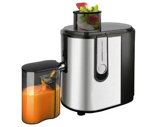 Taurus Liquafruits Pro compact 0,35 l Blender voor op aanrecht 600 W Zwart, Roestvrijstaal