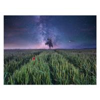 Ravensburger legpuzzel nachthim.uber dem kornfeld, 1500st.