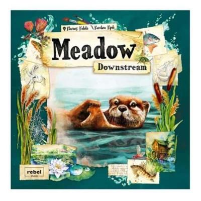 Meadow Downstream Meadow Downstream