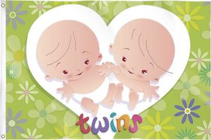Gevelvlag "Twins" 90x60cm