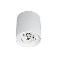 BM100-18 Opbouwarmatuur rond Wit