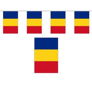 Roemenie vlaggenlijn - polyester stof - 900 cm - landen supporters feestartikelen - versiering