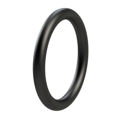 Rheinstrom O-ring Tbv Pomphuis Y3 Tbv Kraan Y4