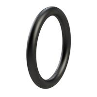 Rheinstrom O-ring Tbv Pomphuis Y3 7,5x1,5 Nbr Tbv Y3
