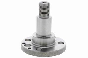 Wielnaaf V105218