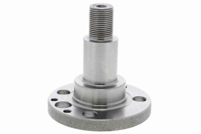 Wielnaaf V105218
