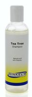 Shampoo tea tree