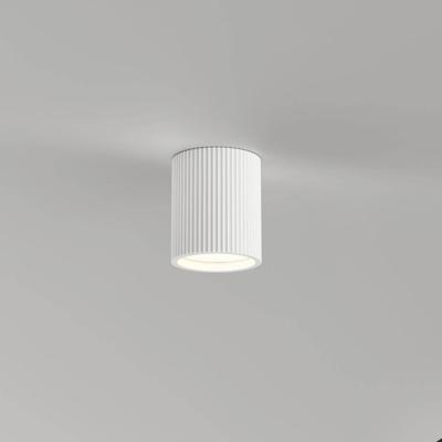 Artdelight Overschilderbare plafondlampToulouse ribbels - PL 4064R WI