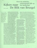 Kijken naar de Blik van Bruegel (Paperback)