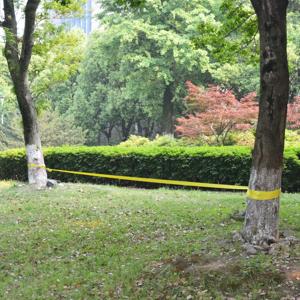 VidaXL Slackline 15 m x 50 mm 150 kg geel