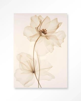 White Flowers - Moderne Wanddecoratie | Artprint, Glass Art & Wandkleed White Flowers - Moderne Wanddecoratie | Artprint, Glass Art & Wandkleed