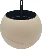 Globee in doos zand