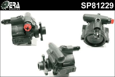 Stuurpomp SP81229