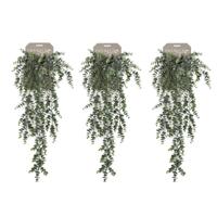 Kunstplant Eucalyptus - 3x - groen - takken - hangplant - 75 cm