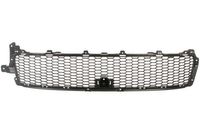 Ventilatiegrille, bumper 6502073750910P