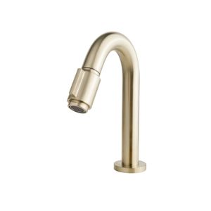 Toiletkraan Wiesbaden Victoria Luxe 1/2&apos;&apos; Geborsteld Messing Goud