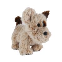 Take me home knuffel hond 22cm