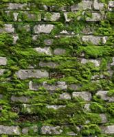 Noordwand Textura Behang stenen muur met mos - 1545731