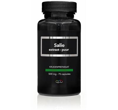 Apb Holland Salie extract puur 500mg