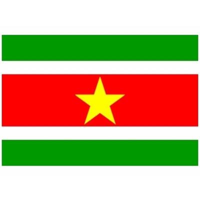 Klein formaat supporters landen vlag Suriname - 60 x 90 cm - Landen feestartikelen - polyester