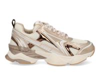 Steve Madden Speedster-E silver gold crea Rose maat 36 Steve Madden Speedster-E silver gold crea Rose maat 36