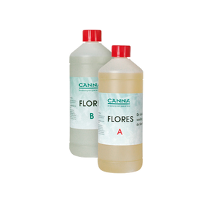 Canna Canna Hydro Flores