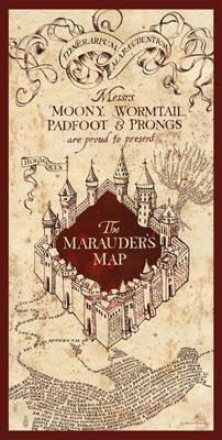 Harry Potter: Marauder's Map 30 x 60 cm Glass Poster