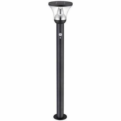 Zonnelamp Galix G4595C Zilverkleurig 1000 Lm
