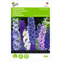 Delphinium, Ridderspoor Giant Pacific gemengd