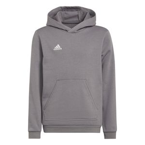 adidas Entrada 22 Sweat Hoodie Kids Grijs Wit