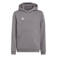 adidas Entrada 22 Sweat Hoodie Kids Grijs Wit - thumbnail