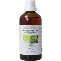 Natura Sanat Angelica officinalis/engelwortel tinctuur bio