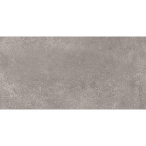 Cifre Ceramica wand- en vloertegel - 30x60cm - 9mm - Rechthoek - gerectificeerd - Betonlook - Grijs mat SW07310452