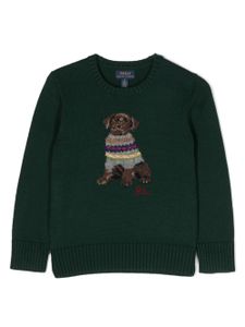 POLO RALPH LAUREN KIDS pull en maille intarsia - Vert