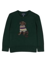 POLO RALPH LAUREN KIDS pull en maille intarsia - Vert - thumbnail