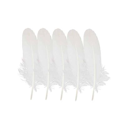 Witte Veren Gans - 16-20 cm (Set van 5)
