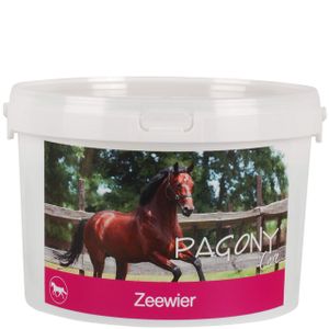 Pagony Zeewier