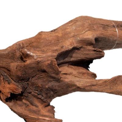 Mangrove aged wood medium - Aquadistri