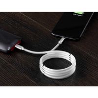 Renkforce USB-kabel USB 2.0 USB-C stekker, Apple Lightning stekker 2.00 m Wit TO-6886782 - thumbnail