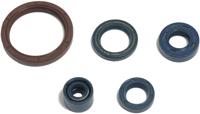 ATHENA Motorshield te/tc250-450,03-10,