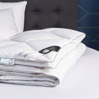 Dekbed Dons 65% ganzendons All Season 200 x 200 cm - Enkel - 200x200 cm (Tweepersoons) - Presence - 320 gram - Dekbed-Discounter.nl