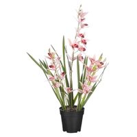 Mica Decorations Orchidee bloem kunstplant - perzik roze - H66 x B34 cm - Kunstplanten - thumbnail