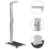 VidaXL Buitendouche met bak hkc roestvrij staal