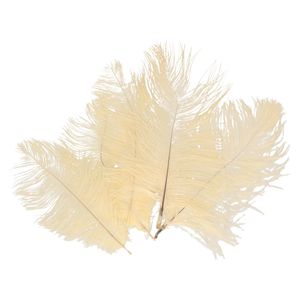 Struisvogelveren/sierveren - 5x - creme wit - 20-25 cm - decoratie/hobbymateriaal