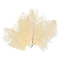 Struisvogelveren/sierveren - 5x - creme wit - 20-25 cm - decoratie/hobbymateriaal