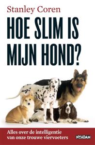 Hoe slim is mijn hond? (Paperback)