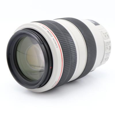 Canon EF 70-300mm F/4-5.6 L IS USM occasion