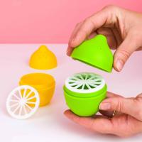 Citroen koelkast geurvreters (set van 2)