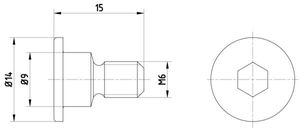 Schroef, remschijf TPM0001